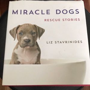Miracle Dogs Rescue Stories